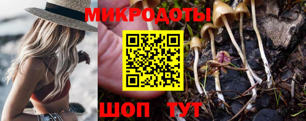 Псилоцибиновые грибы MAGIC MUSHROOMS Россия