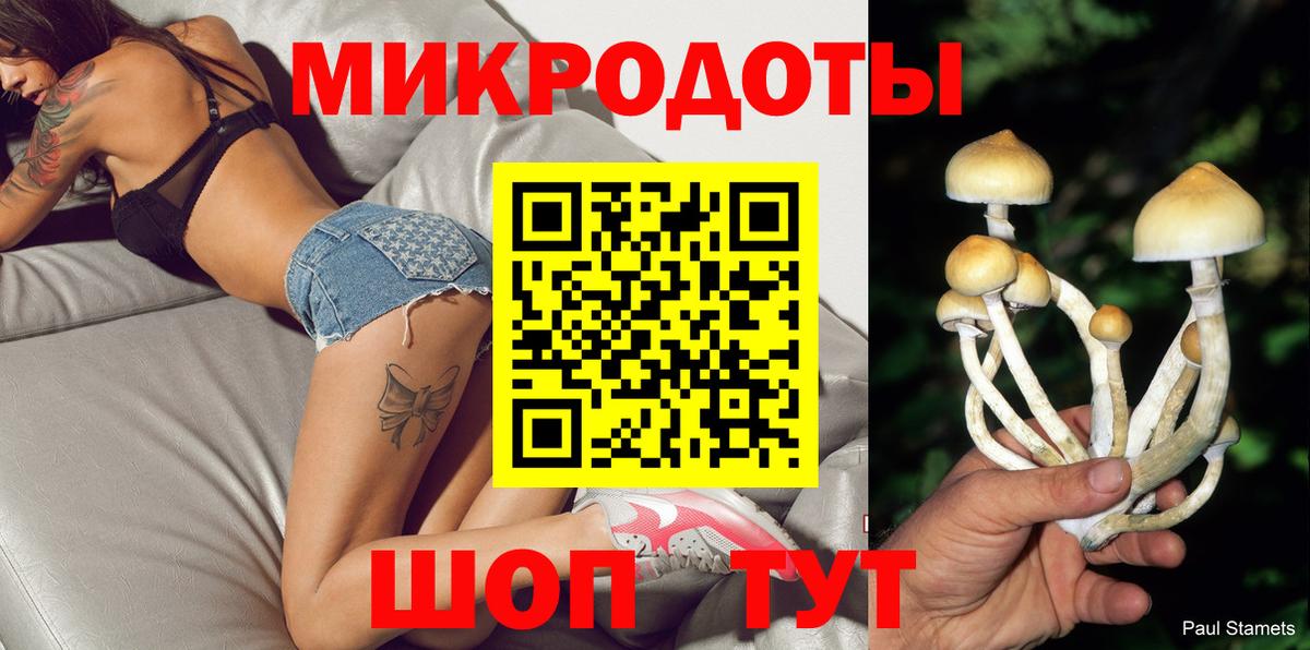 Псилоцибиновые грибы Psilocybe  Вход с VPN  Россия 