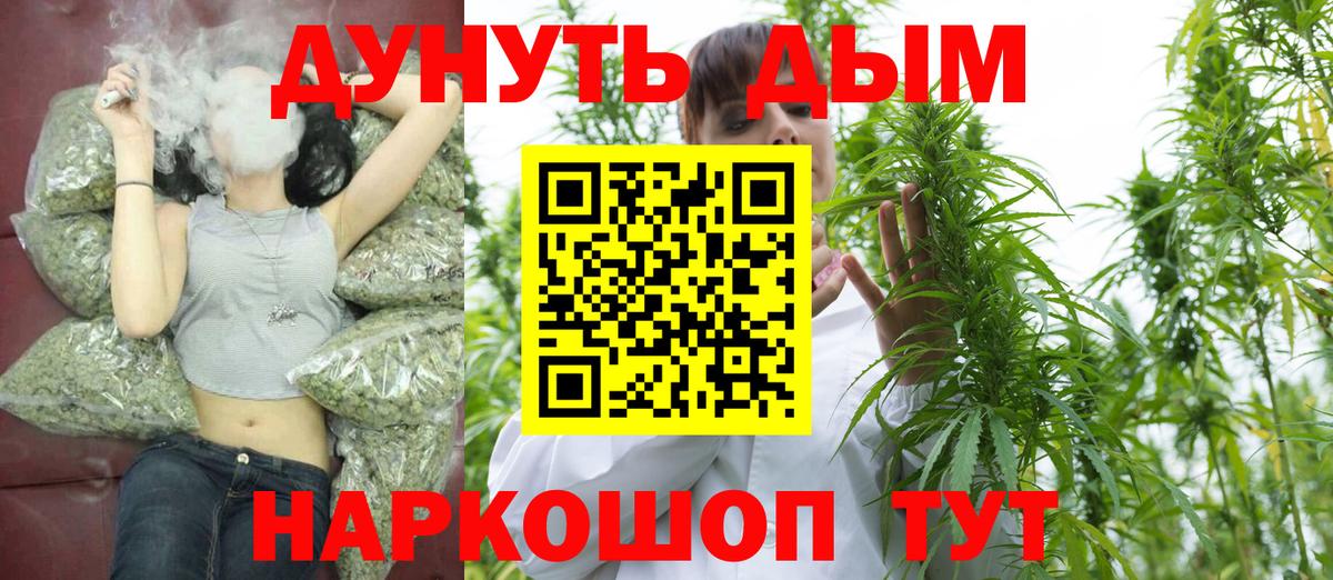 Каннабис ГИДРОПОН Россия
